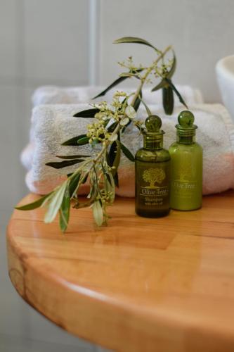 Marina's Studios - image 7