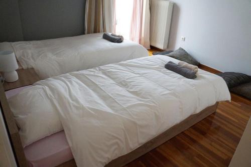 Comfy Apartment With Acropolis View 5