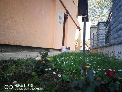 Apartment Neo - image 12
