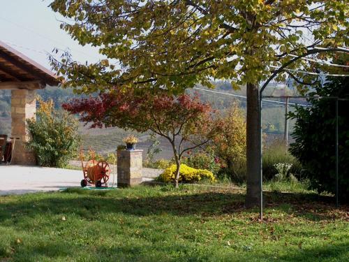 Cascina Alberta in Vignale Monferrato