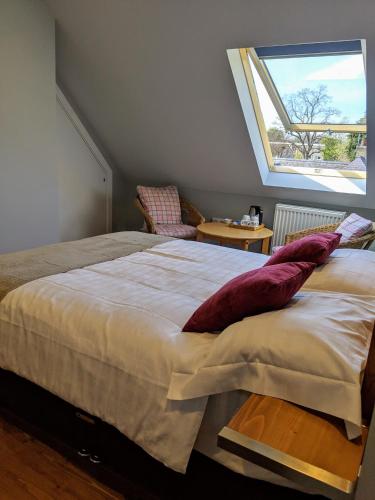 Falcon Crest Guest House - image 14