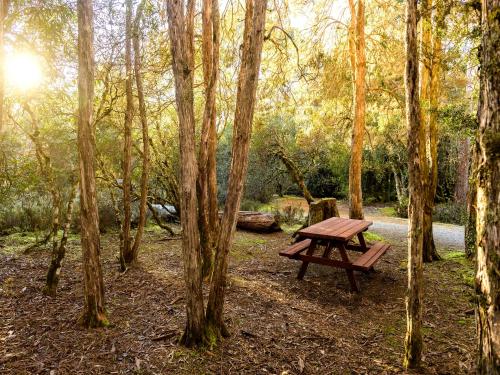 Discovery Parks - Cradle Mountain