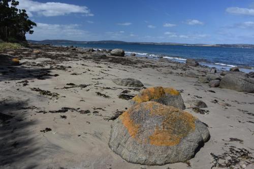 Beachside Taroona with Spa