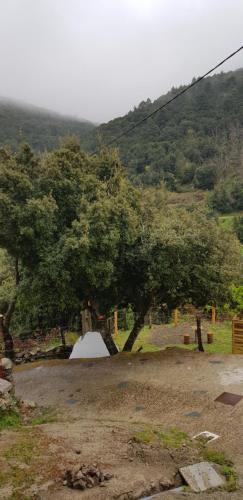 camping l'agrottu au cœur de la corse restaurant creperie - Camping - Santa-Lucia-di-Mercurio