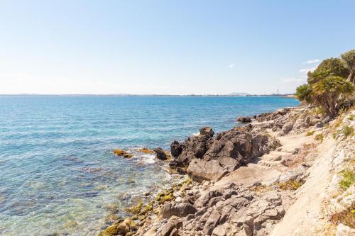 Torre major - image 2