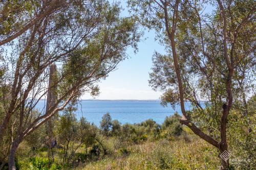 Torre major - image 4