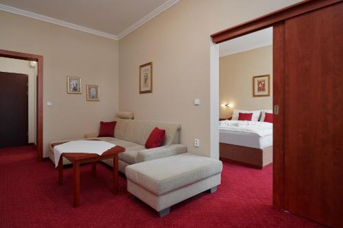 Wellness Hotel Lužan - image 10