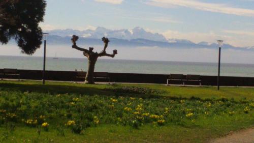 Auszeit am See in Langenargen