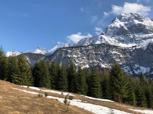 Das Halali - dein kleines Hotel an der Zugspitze - image 14