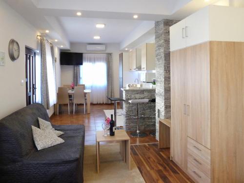  Apartment Petra i Nikola in Selište Drežničko