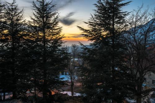 Okolí, La Maison des Cèdres (La Maison des Cedres) in Bcharré