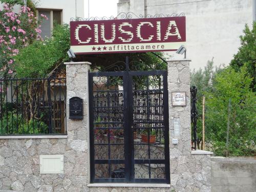 Ciuscia