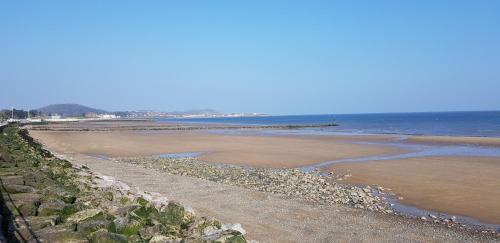 Harbour View