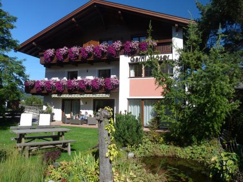  Appartements Moser, Pension in Olang