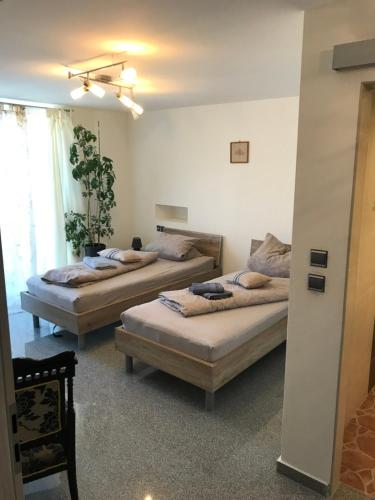  Apartment Ereiz, Pension in Hermagor