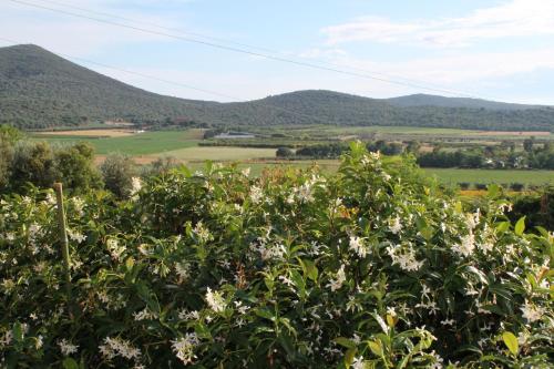 Agriturismo Podere Montenero - Apartment - Alberese