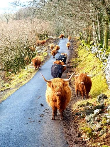 Kirk Cottage in 托伯莫里