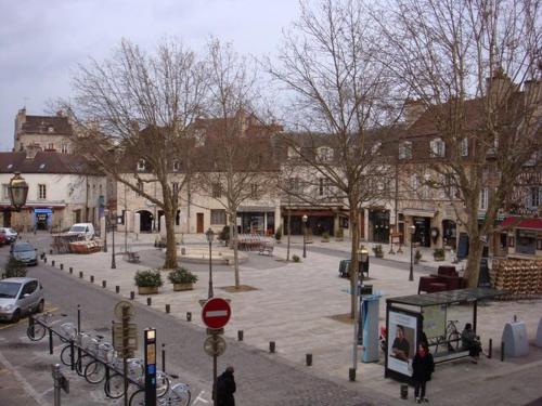 Ange appart - Location saisonnière - Dijon