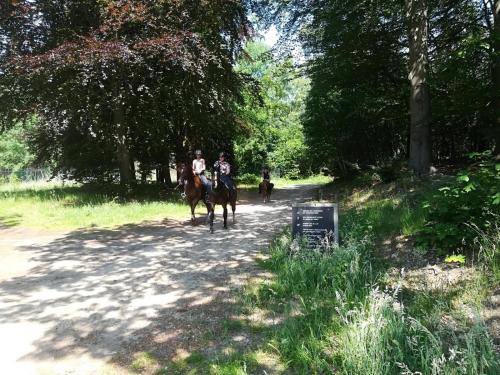 Erve Het Roolvink Boerderij Appartementen 40-50 M2