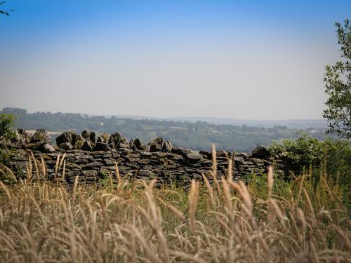 Llechwen Hall - image 8