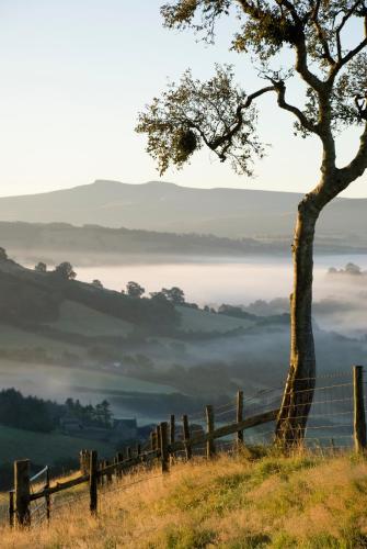 Snug Oak Hut with a view on a Welsh Hill Farm