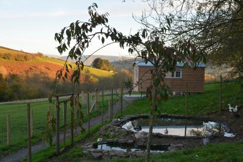 Snug Oak Hut with a view on a Welsh Hill Farm