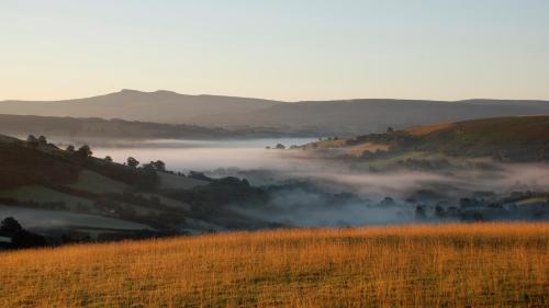 Snug Oak Hut with a view on a Welsh Hill Farm