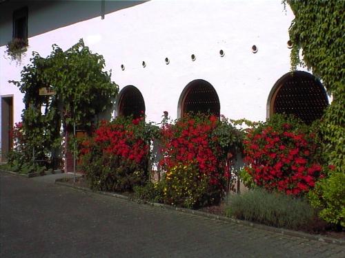 Iekārtas, Weingut Arnold Pauly in Osann-Monzel