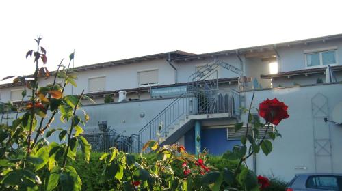 Melen, Rust (photo 8)