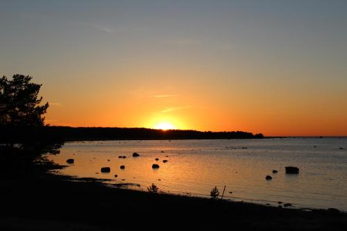 Metskonna Forest House Metskonna Forest House