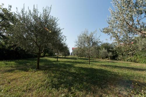  Apartments Maslina in Matulji
