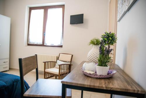B&B 'Xenia'