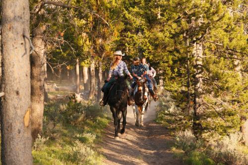 Headwaters Lodge & Cabins at Flagg Ranch in Moran, USA
