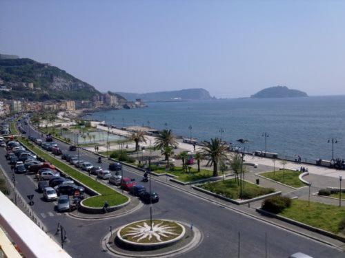 Posidonia