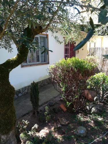  Casa das Laranjeiras in Ferreira do Zêzere