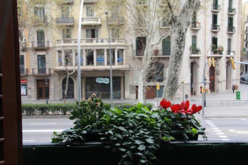 BUHO Boutique Rooms - image 12
