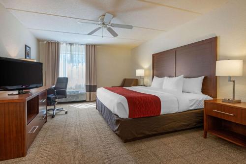 Comfort Inn Kissimmee-Lake Buena Vista South