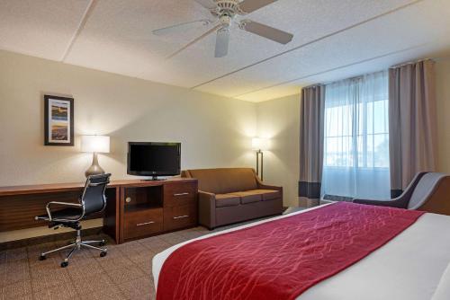 King Room with Hot Tub - Non-Smoking image 6