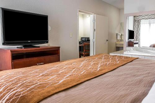 Comfort Inn Suites University South In Mi