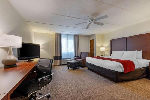 King Room with Hot Tub - Non-Smoking image 8
