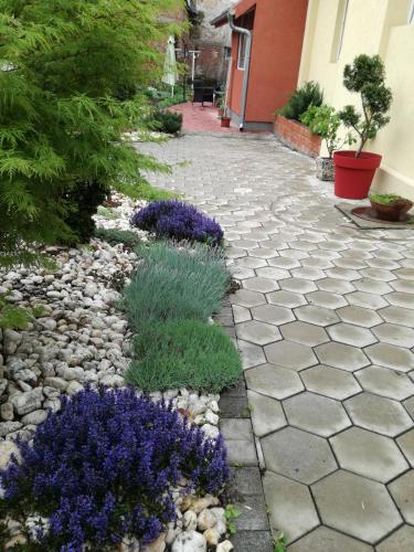 Apartman Centar - image 7