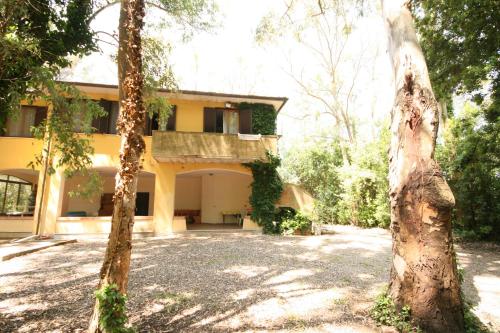 Letizia Marina di Castagneto zona Casone gîte à louer Marina di Castagneto