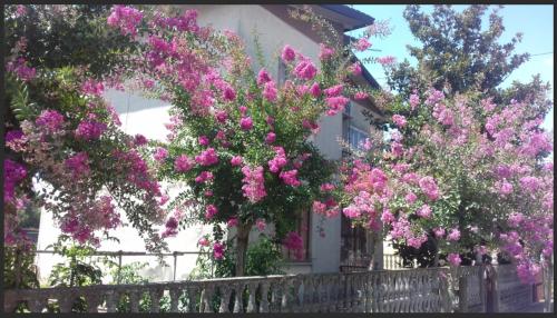 Casa Francesca in campagna