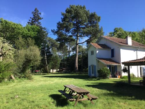 Gites-cyclistes-leon - Landes