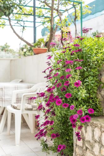  Apartments Rogulj in Trogir