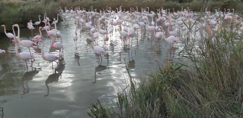L'effet mer L'effet mer
