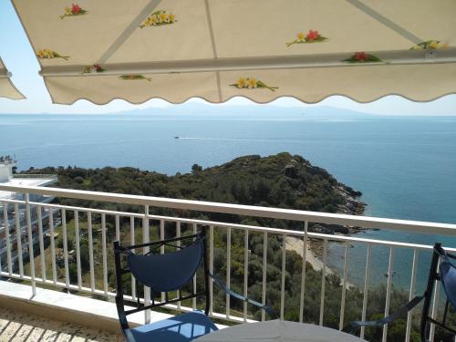 ABSOLUT VIEW ABSOLUT VIEW