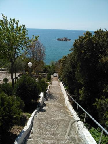 ABSOLUT VIEW ABSOLUT VIEW