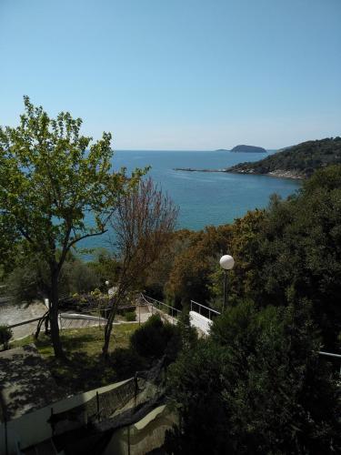 ABSOLUT VIEW ABSOLUT VIEW