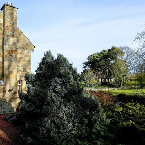 Thornley House in Allendale Town